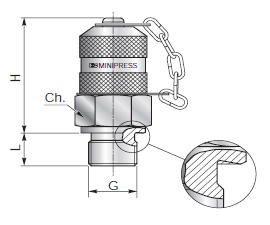 Test couplings for pressure checking - Type B